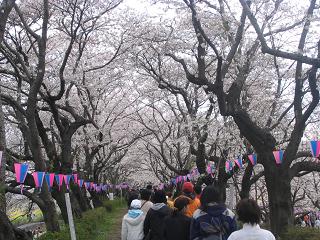b0024439_10225442.jpg