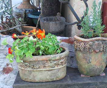 a0094140_13231363.jpg