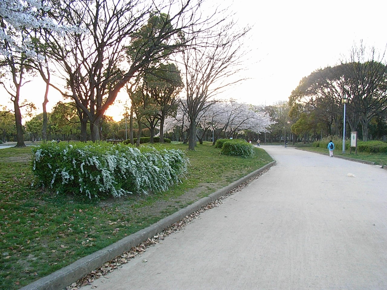 f0040342_004729.jpg