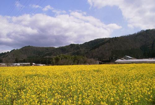 c0072843_19444356.jpg