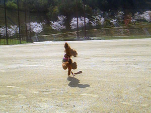 c0115145_17171263.jpg
