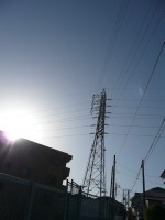 e0080345_17503874.jpg