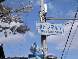 f0116546_232289.jpg