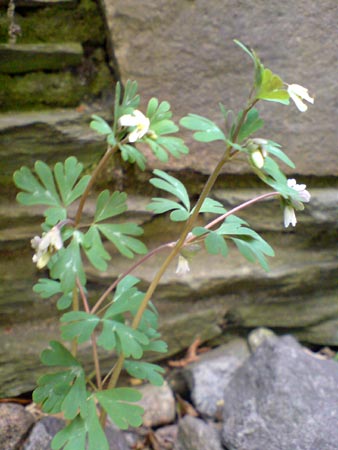 e0034047_125920.jpg