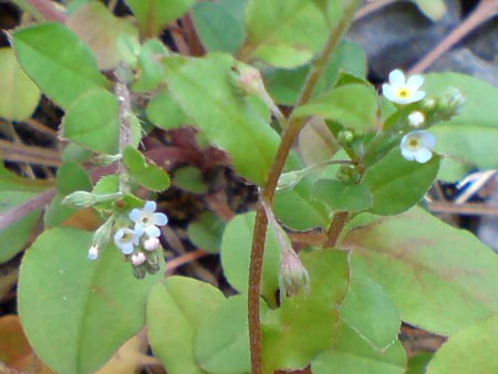 e0034047_132875.jpg