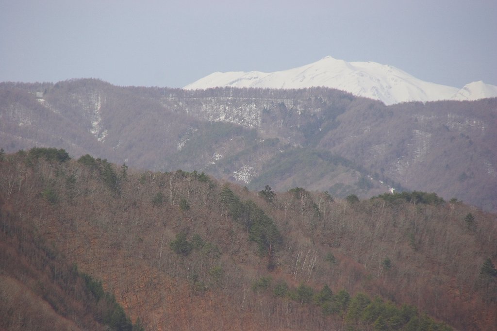 c0008948_1004197.jpg