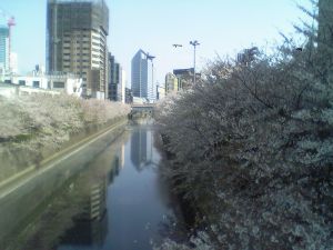 c0027849_20522013.jpg