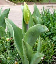 f0136751_0241491.jpg