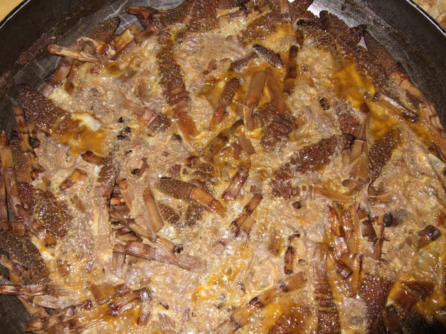 e0104154_9262615.jpg