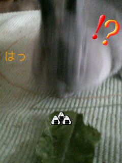 f0104057_206863.jpg
