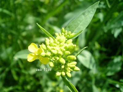 a0063963_19424021.jpg