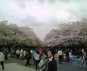 b0009665_125675.jpg