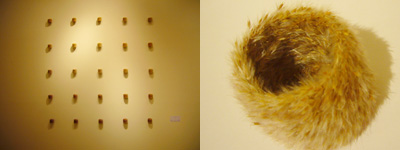 c0027965_22192470.jpg