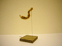 c0027965_2219678.jpg