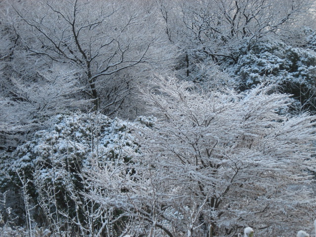 c0083165_2175898.jpg