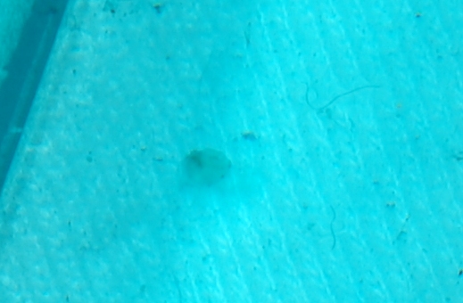 d0107166_20412076.jpg