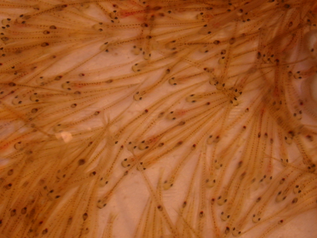 d0094868_15411216.jpg