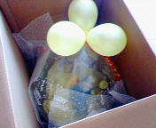 c0006671_10524813.jpg
