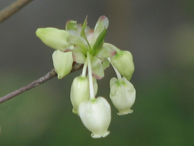 d0050472_1844985.jpg