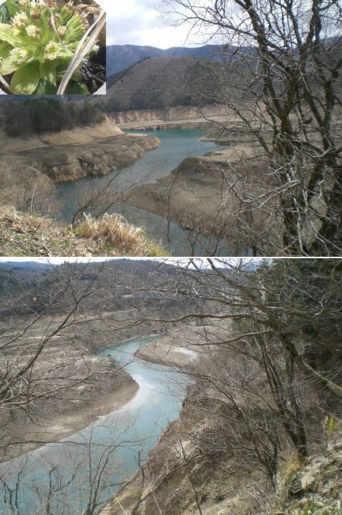 e0085772_22484582.jpg