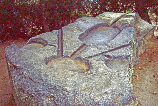 e0100772_23181541.jpg
