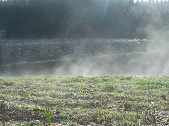 e0052074_9153434.jpg