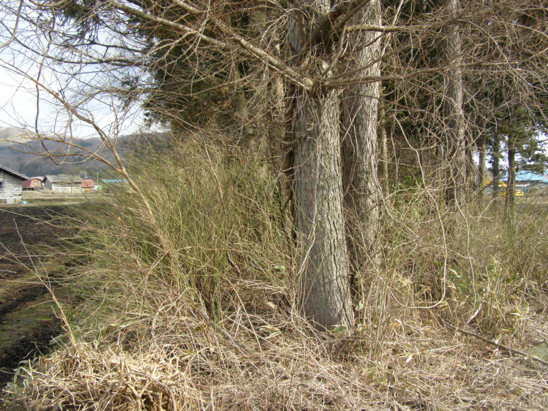 f0075075_23472196.jpg