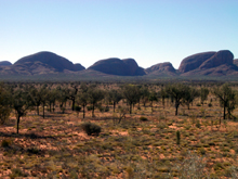 a0062376_2334986.jpg