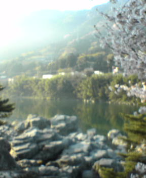 f0137483_7175277.jpg