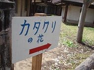 c0105785_21434113.jpg