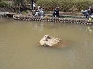 c0105785_21503762.jpg