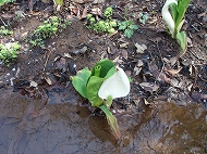 c0105785_21541693.jpg