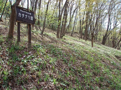 c0105785_21563560.jpg