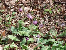 c0105785_2211790.jpg