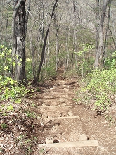 c0105785_2213340.jpg