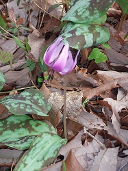 c0105785_2251457.jpg