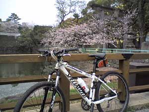 a0096787_226574.jpg