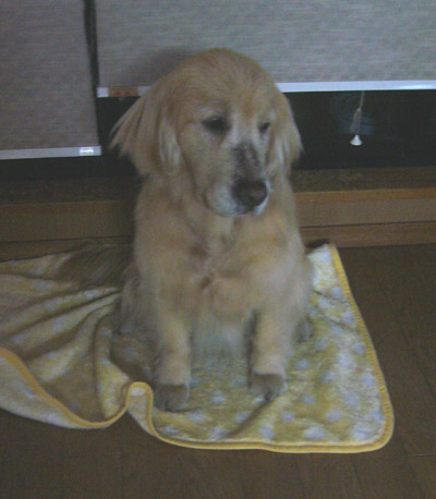 c0085188_231553.jpg