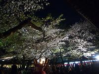 f0069890_23404690.jpg