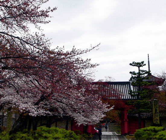 a0079292_13331660.jpg