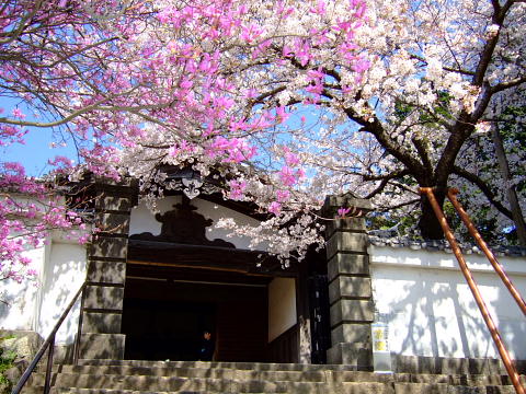 b0104592_22402057.jpg