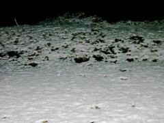 a0061594_173650.jpg