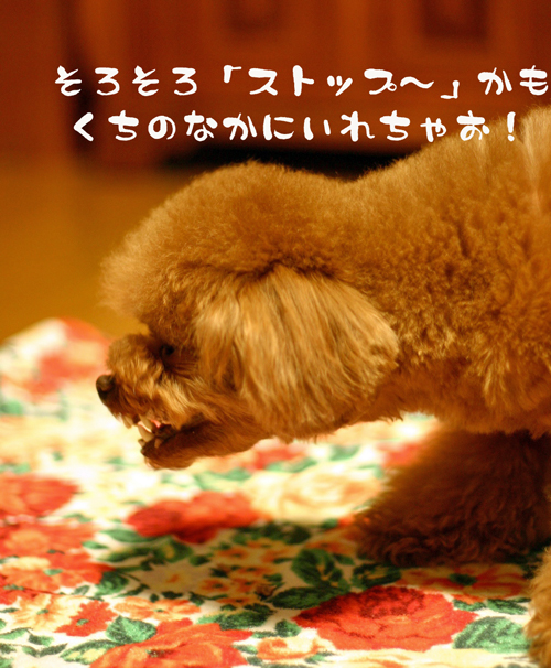 f0001895_2154859.jpg
