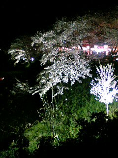 f0083400_20575344.jpg