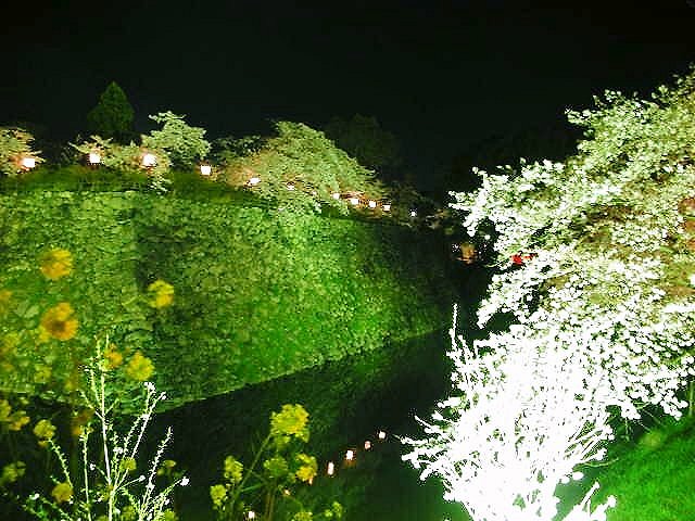 f0083400_22444567.jpg