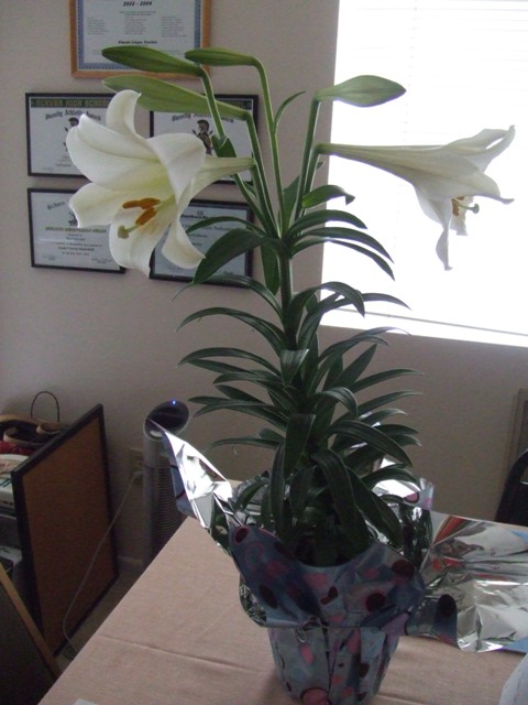c0062603_15194100.jpg