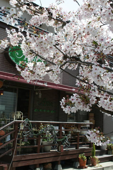 f0031304_11412574.jpg