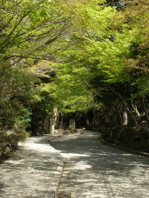 e0083212_15113468.jpg