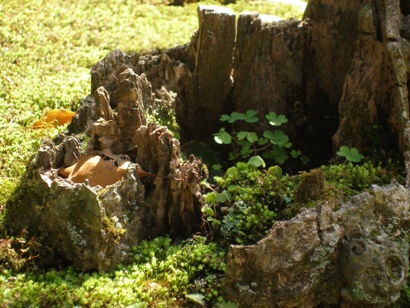 e0083212_15124146.jpg
