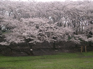 d0063615_035079.jpg